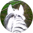 Emilie Coste profile picture