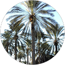 Jamel Hmida profile picture