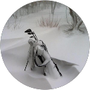 Eve Lulu profile picture