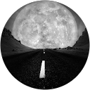 Tarek adjal profile picture